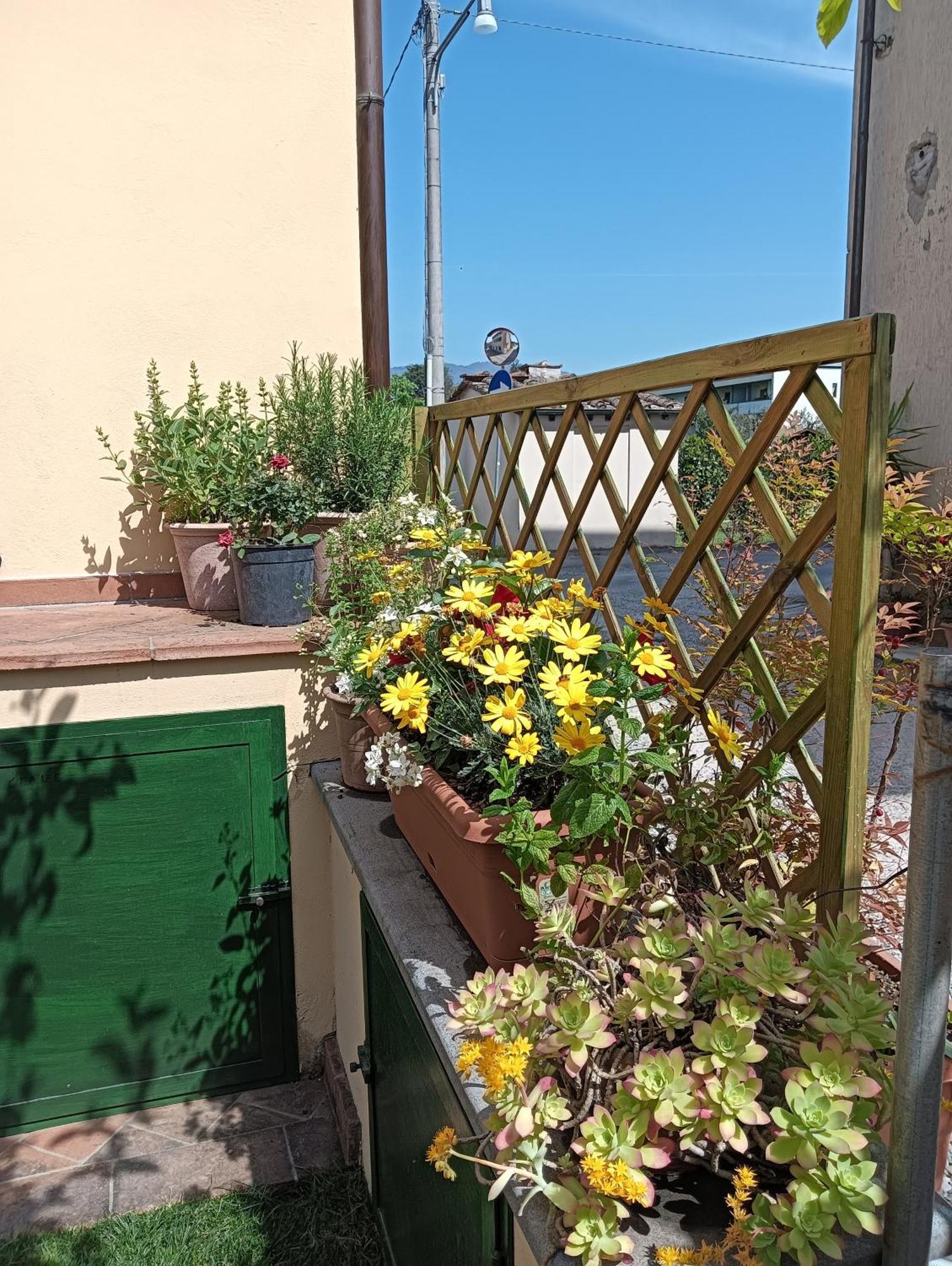 Casa Vacanze Rustico Di Corte カパンノリ エクステリア 写真