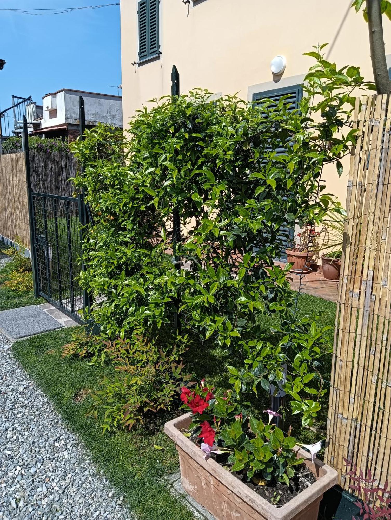 Casa Vacanze Rustico Di Corte カパンノリ エクステリア 写真